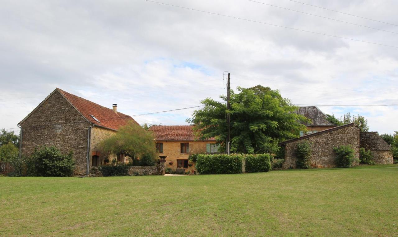 La Vieille Ferme: Superbe Complexe De 3 Gites En Pierre Avec Piscine Au Coeur Du Perigord Noir Saint-Genies Exteriör bild