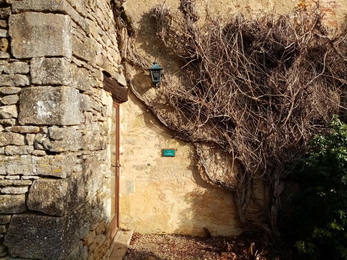 La Vieille Ferme: Superbe Complexe De 3 Gites En Pierre Avec Piscine Au Coeur Du Perigord Noir Saint-Genies Exteriör bild