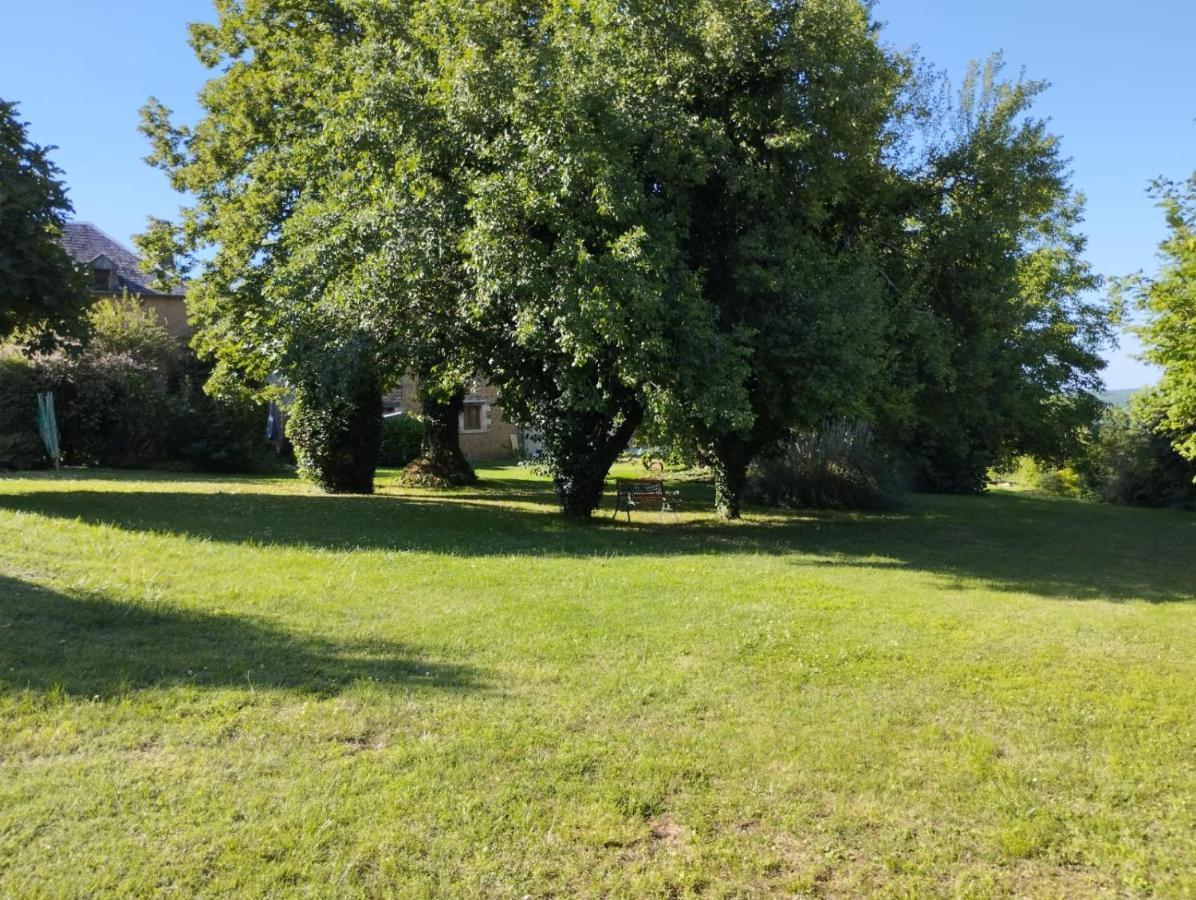 La Vieille Ferme: Superbe Complexe De 3 Gites En Pierre Avec Piscine Au Coeur Du Perigord Noir Saint-Genies Exteriör bild