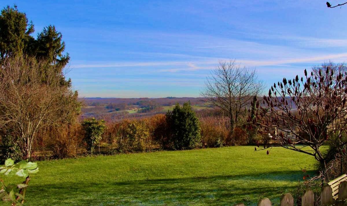 La Vieille Ferme: Superbe Complexe De 3 Gites En Pierre Avec Piscine Au Coeur Du Perigord Noir Saint-Genies Exteriör bild