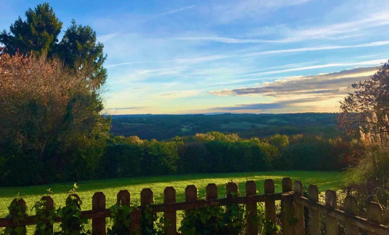 La Vieille Ferme: Superbe Complexe De 3 Gites En Pierre Avec Piscine Au Coeur Du Perigord Noir Saint-Genies Exteriör bild