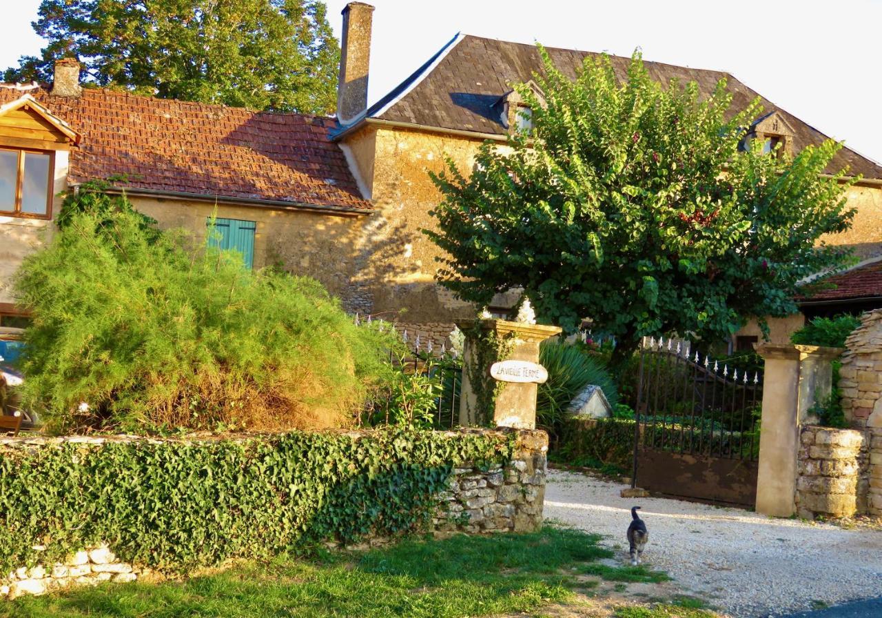La Vieille Ferme: Superbe Complexe De 3 Gites En Pierre Avec Piscine Au Coeur Du Perigord Noir Saint-Genies Exteriör bild
